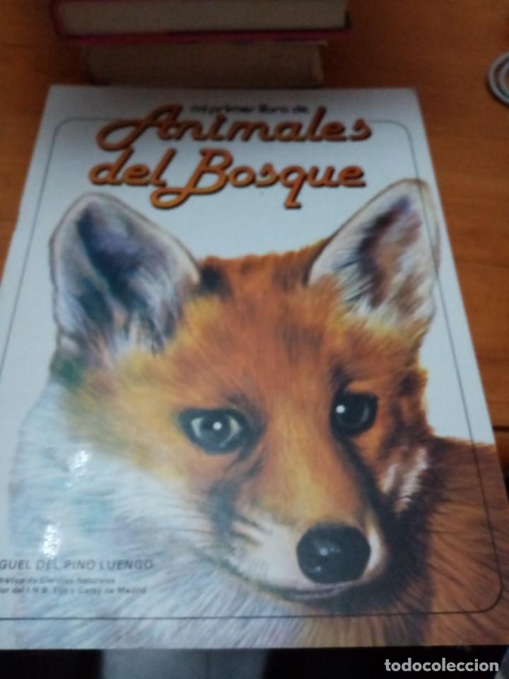 Libros de segunda mano: MI PRIMER LIBRO DE ANIMALES DE BOSQUE. EST31B1 - Foto 1