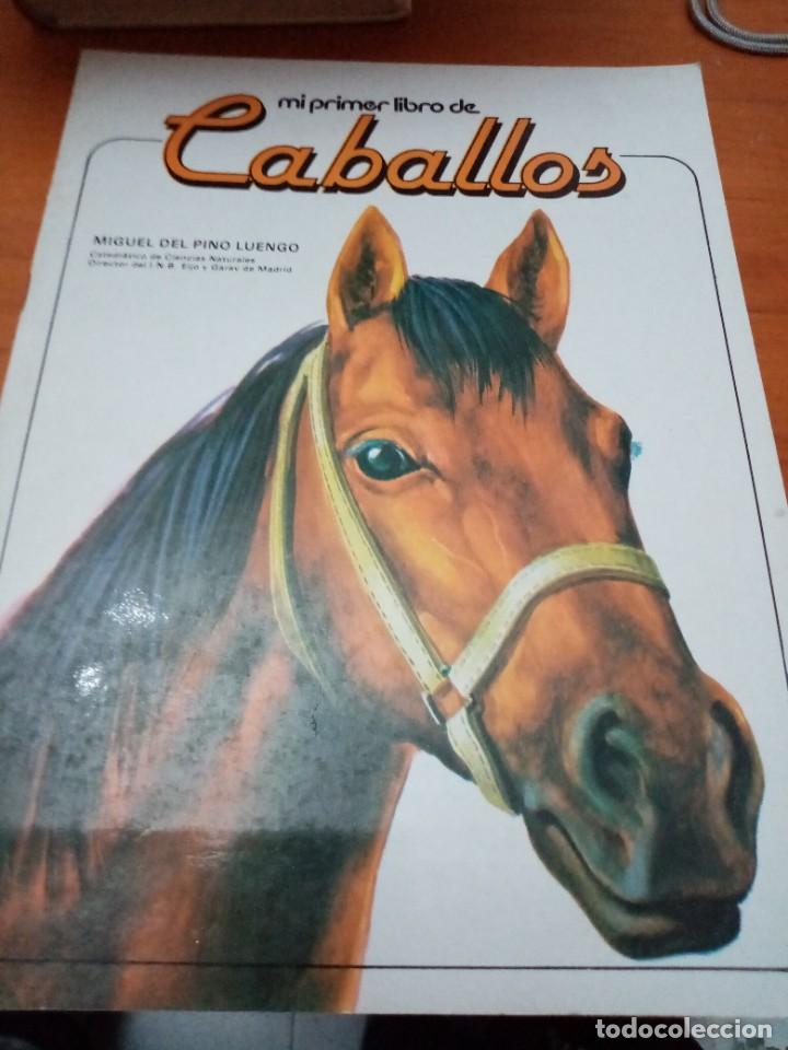 Libros de segunda mano: MI PRIMER LIBRO DE CABALLOS. MIGUEL DEL PINO LUENGO. EST31B1 - Foto 1