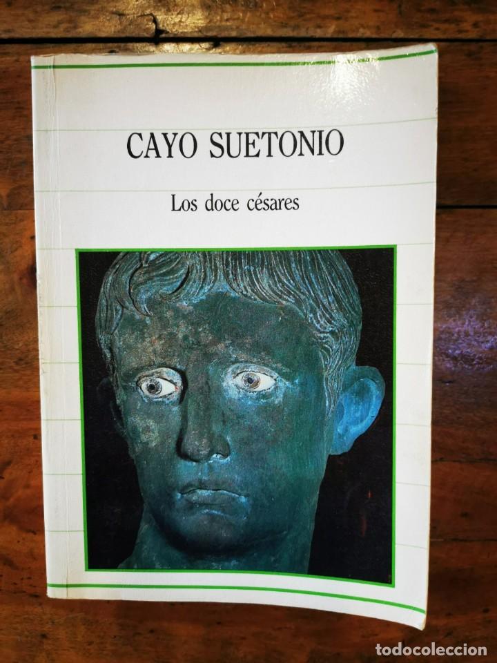 Libros de segunda mano: CAYO SUETONIO. Los doce c&eacute;sares - Foto 1