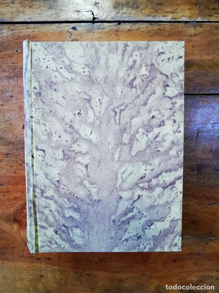 Libros de segunda mano: MONTESQUIEU. Cartas persas - Foto 3