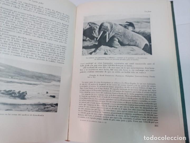 Libros de segunda mano: El reino de los animales 3 tomos SA9049 - Foto 2