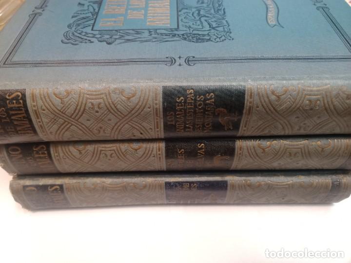 Libros de segunda mano: El reino de los animales 3 tomos SA9049 - Foto 1