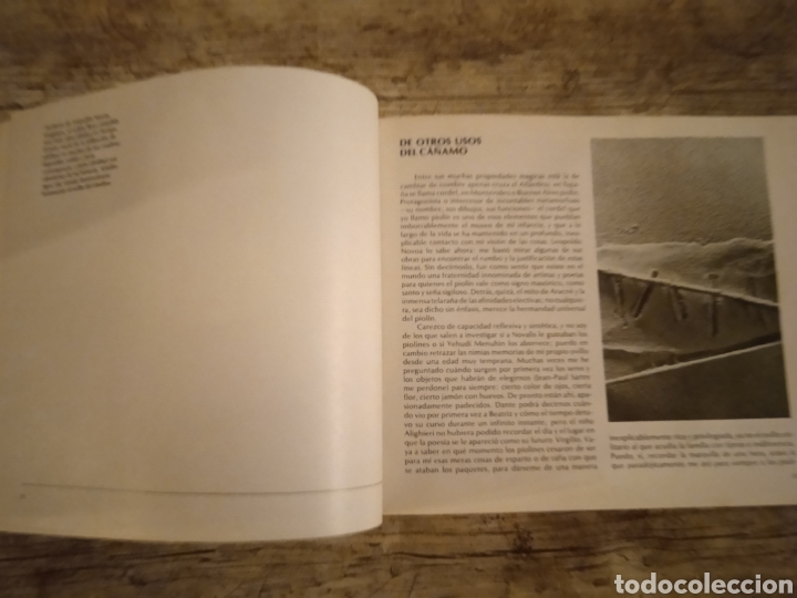 Libros de segunda mano: Territorios. Julio Cort&aacute;zar. - Foto 6