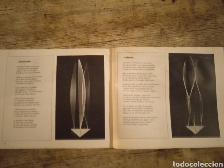 Libros de segunda mano: Territorios. Julio Cort&aacute;zar. - Foto 8