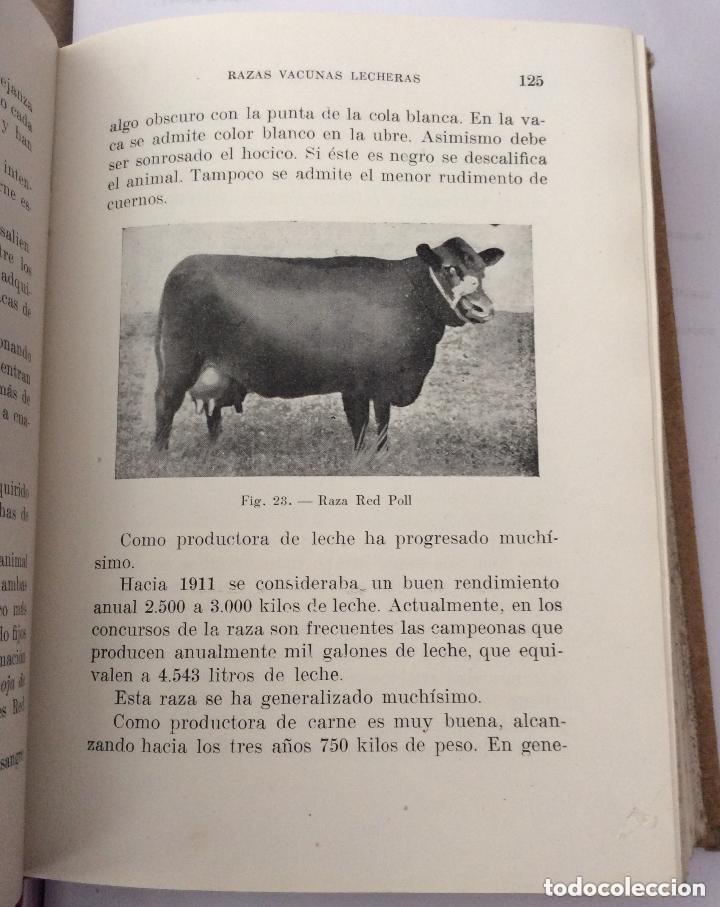 Libros de segunda mano: LA VACA LECHERA. .- Ar&aacute;n. Santos, - Foto 3