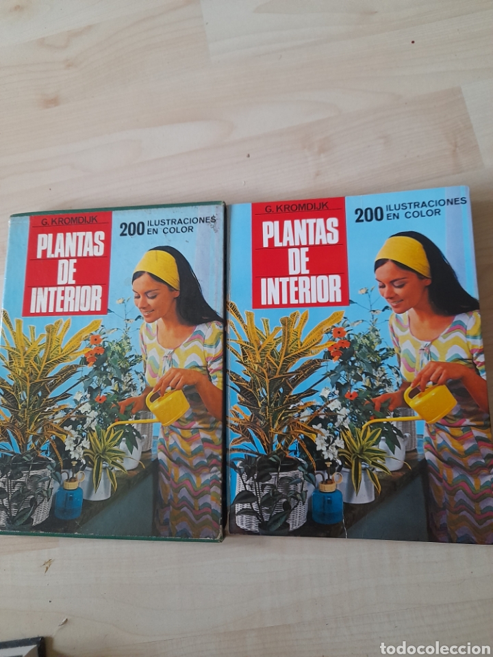 Libros de segunda mano: Plantas de interior. G. Kromdijk - Foto 2
