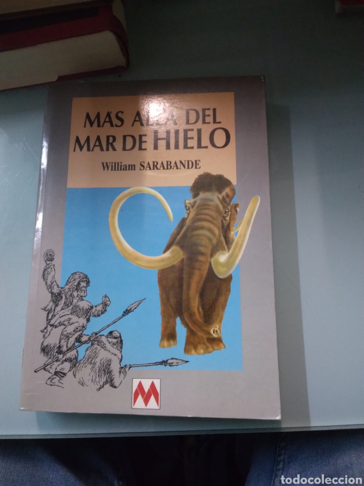 Libros de segunda mano: William Sarabande, Mas alla del.mar del hielo, Maeva - Foto 1
