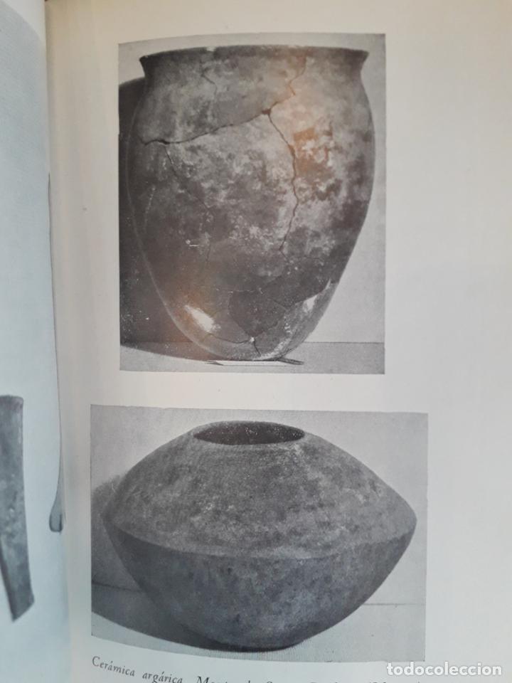 Libros de segunda mano: MUSEO ARQUEOLOGICO DE MURCIA - Foto 2