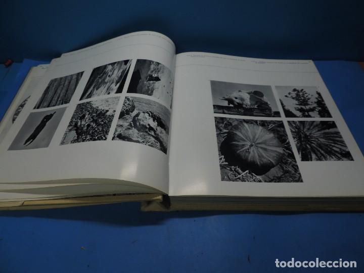 Libros de segunda mano: MIR&Oacute; Y CATALU&Ntilde;A.- JUAN PERUCHO - Foto 9