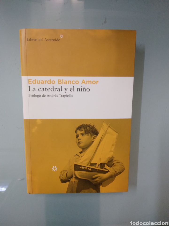 Libros de segunda mano: Eduardo Blanco Amor, La.catedral y el ni&ntilde;o, Asteroide - Foto 1