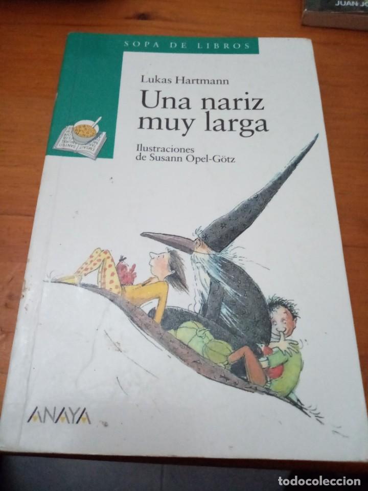 Libros de segunda mano: UNA NARIZ MUY LARGA. LUKAS HARTMANN. ANAYA. EST28B3 - Foto 2
