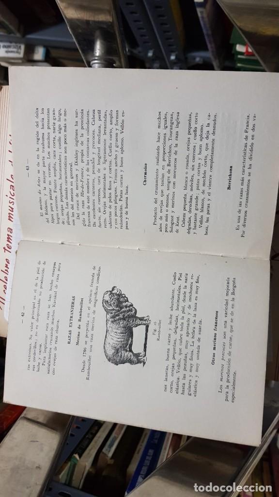 Libros de segunda mano: LA OVEJA PRODUCTIVA - Foto 3