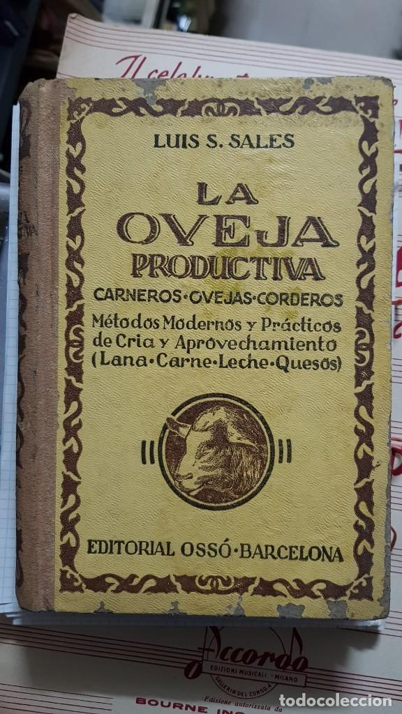 Libros de segunda mano: LA OVEJA PRODUCTIVA - Foto 1