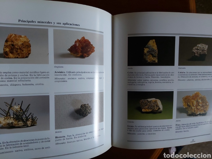 Libros de segunda mano: MINERALES Y F&Oacute;SILES. - Foto 6