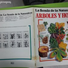 Libros de segunda mano: ARBOLES Y HOJAS - LA SENDA DE LA NATURALEZA - PLESA