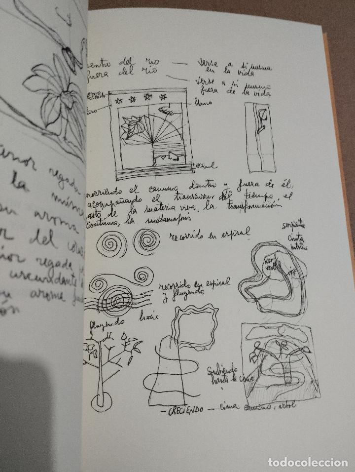 Libros de segunda mano: DESDE OTRO LUGAR (MERCEDES LAGUENS) - Foto 4