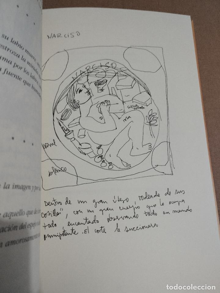 Libros de segunda mano: DESDE OTRO LUGAR (MERCEDES LAGUENS) - Foto 6