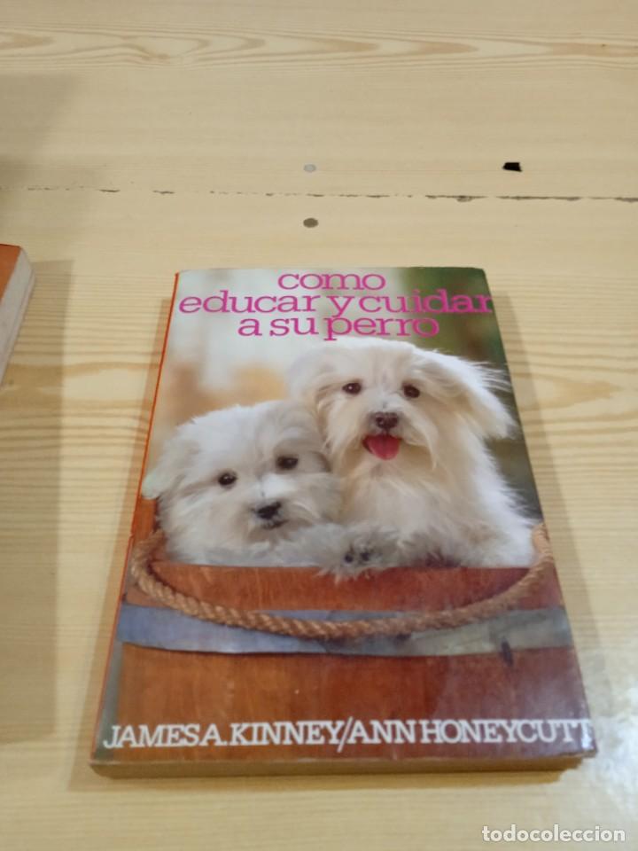 Libros de segunda mano: M-32 LIBRO C&oacute;mo educar y cuidar a tu perro.- Kinney, James R. - Foto 1