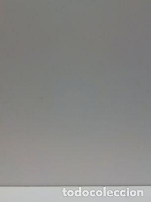 Libros de segunda mano: CUENTOS DE LA SELVA (ANAYA TUS LIBROS, 10) - QUIROGA, HORACIO - Foto 1