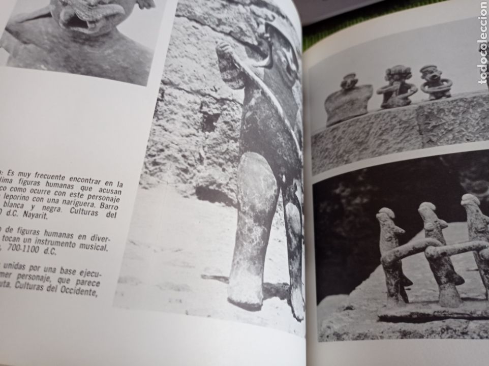 Libros de segunda mano: Museo Diego Rivera- Anahuacalli - Foto 6