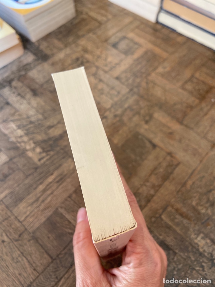 Libros de segunda mano: Leyl&acirc; y Mech&ucirc;n - Fuzul&icirc; - Editora Nacional (1982) - Foto 5