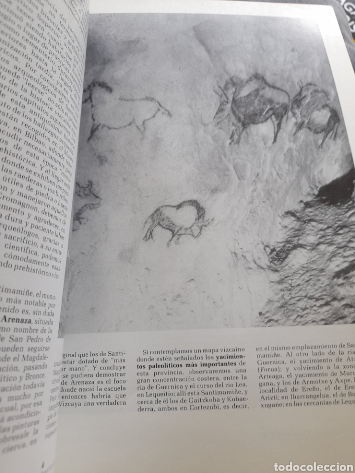 Libros de segunda mano: Vizcaya monumental. Manuel Basas - Foto 2