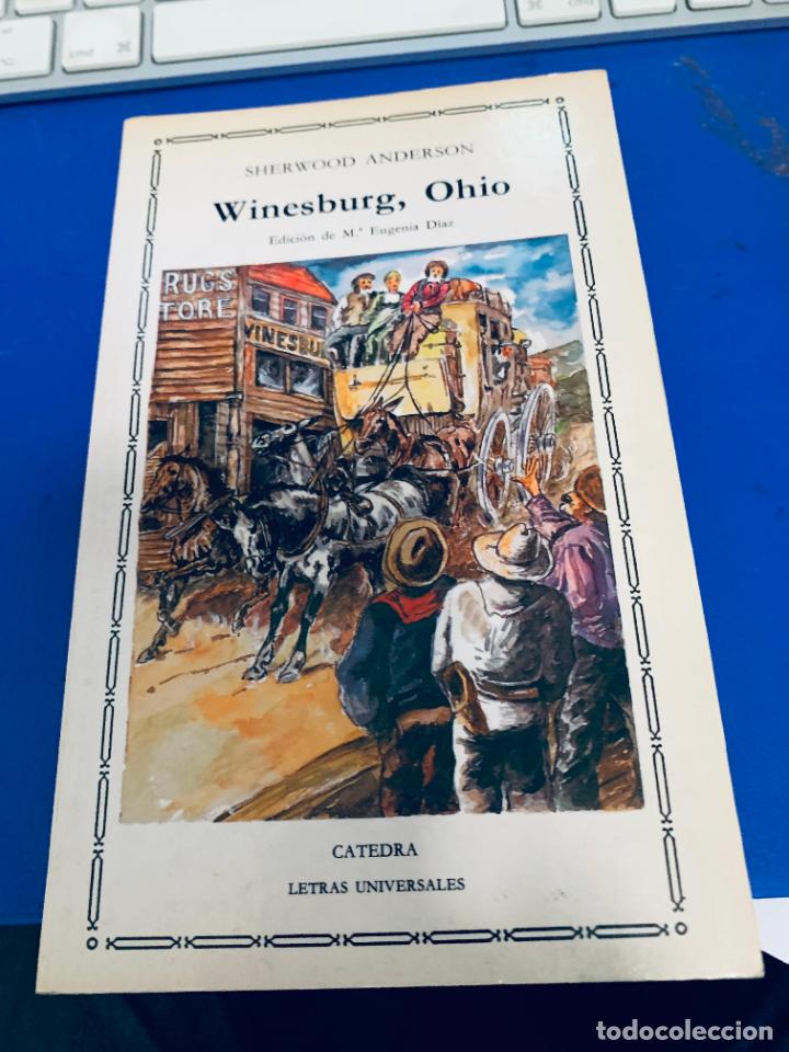 Libros de segunda mano: winesburg, ohio sherwood anderson catedra n&ordm;147, 1990 1&ordf; edici&oacute;n buen estado