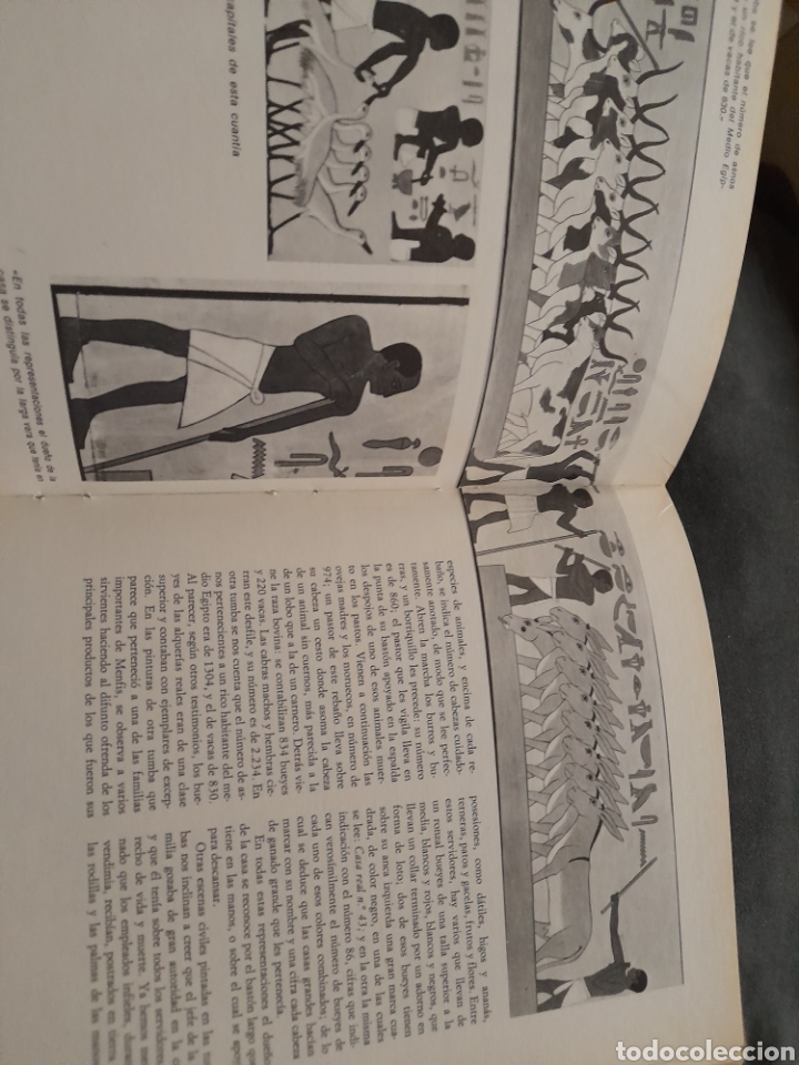 Libros de segunda mano: El mundo de los egipcios. Jaques Champillion - Foto 2