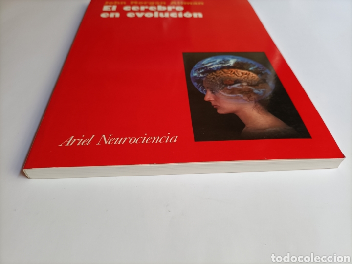 Libros de segunda mano: El cerebro en evoluci&oacute;n. John Morgan Allman - Foto 3