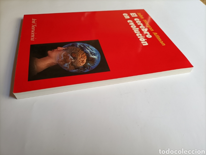 Libros de segunda mano: El cerebro en evoluci&oacute;n. John Morgan Allman - Foto 4