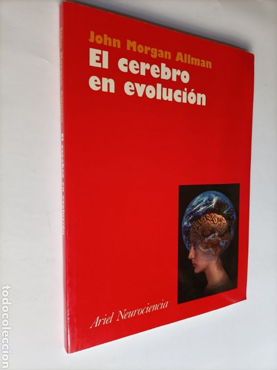 Libros de segunda mano: El cerebro en evoluci&oacute;n. John Morgan Allman - Foto 1