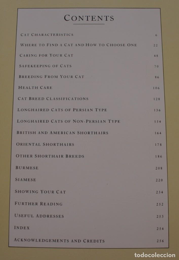Libros de segunda mano: THE COMPLETE CAT BOOK, PADDY CUTTS &ndash; LIBRO GUIA COMPLETA DE GATOS - Foto 2