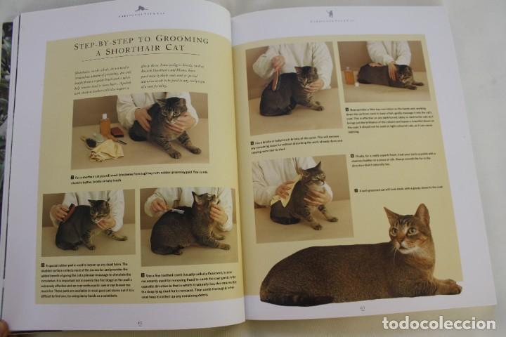 Libros de segunda mano: THE COMPLETE CAT BOOK, PADDY CUTTS &ndash; LIBRO GUIA COMPLETA DE GATOS - Foto 6
