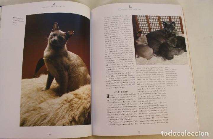 Libros de segunda mano: THE COMPLETE CAT BOOK, PADDY CUTTS &ndash; LIBRO GUIA COMPLETA DE GATOS - Foto 7