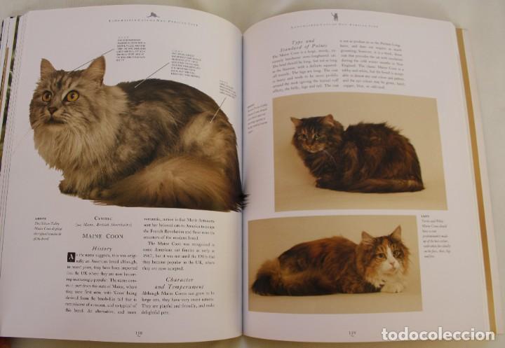 Libros de segunda mano: THE COMPLETE CAT BOOK, PADDY CUTTS &ndash; LIBRO GUIA COMPLETA DE GATOS - Foto 8
