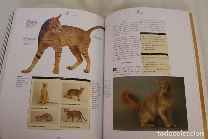 Libros de segunda mano: THE COMPLETE CAT BOOK, PADDY CUTTS &ndash; LIBRO GUIA COMPLETA DE GATOS - Foto 9