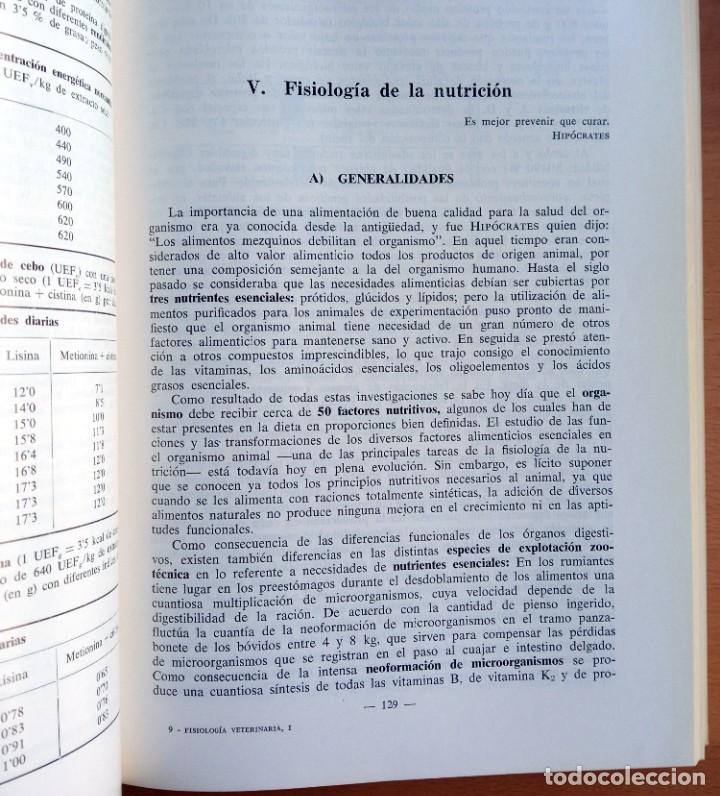 Libros de segunda mano: Fisiolog&iacute;a veterinaria, de Erich Kolb. - Foto 3