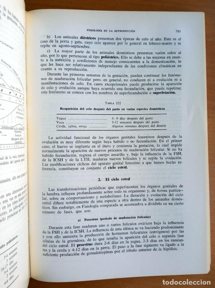Libros de segunda mano: Fisiolog&iacute;a veterinaria, de Erich Kolb. - Foto 4