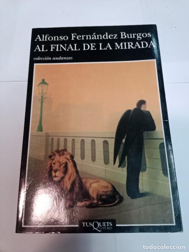 Libros de segunda mano: ALFONSO FERN&Aacute;NDEZ BURGOS Al final de la mirada SA9532 - Foto 1