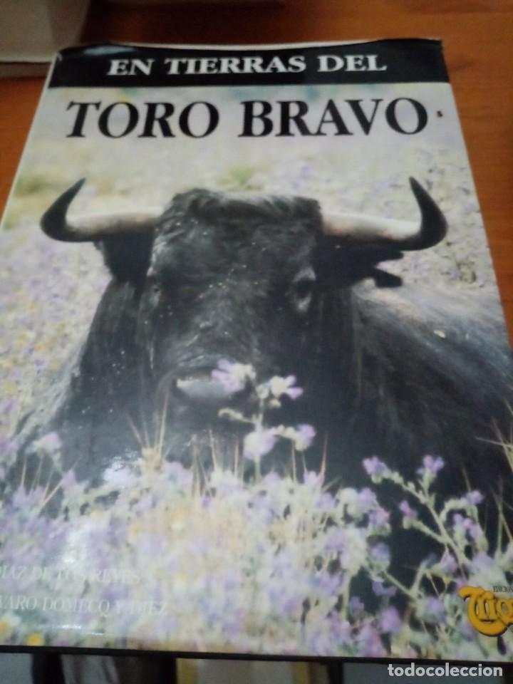 Libros de segunda mano: EN TIERRAS DEL TORO BRAVO. EST31B4 - Foto 1