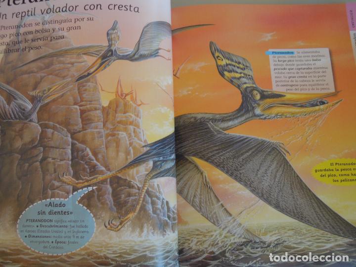 Libros de segunda mano: DINOSAURIOS , ENCICLOPEDIA - SUSAETA - Foto 4