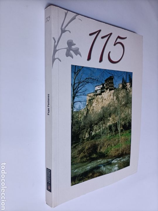 Libros de segunda mano: 115 Cuenca Pepe pontones - Foto 1