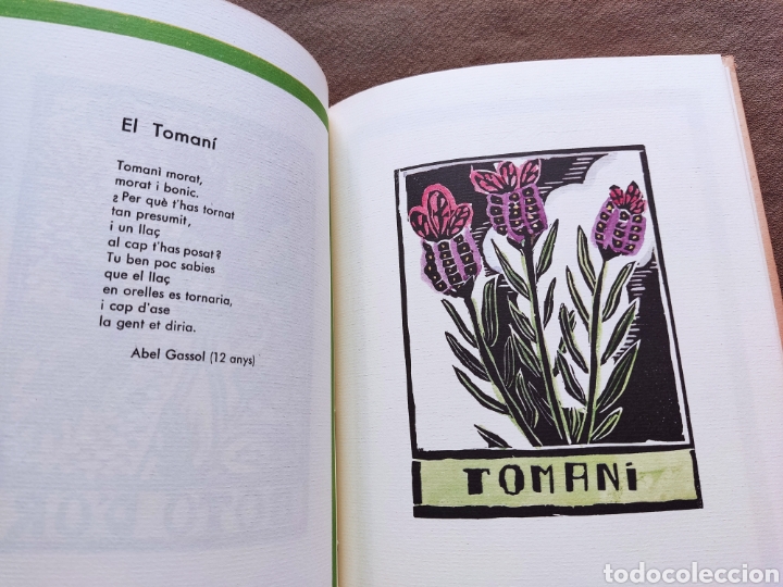 Libros de segunda mano: LLIBRE DE LES FLORS FACS&Iacute;MIL TIRADA LIMITADA - Foto 6