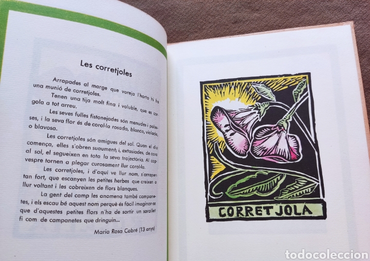 Libros de segunda mano: LLIBRE DE LES FLORS FACS&Iacute;MIL TIRADA LIMITADA - Foto 11