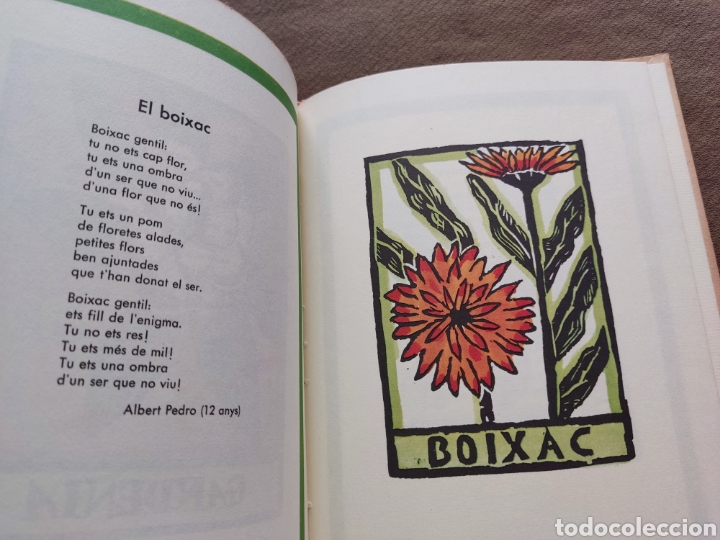 Libros de segunda mano: LLIBRE DE LES FLORS FACS&Iacute;MIL TIRADA LIMITADA - Foto 12