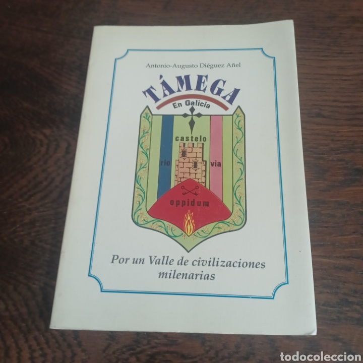 Libros de segunda mano: TAMEGA EN GALICIA - POR UN VALLE DE CIVILIZACIONES MILENARIAS - ANTONIO-AUGUSTO DIEGUEZ A&Ntilde;EL