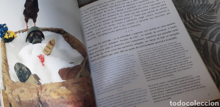 Libros de segunda mano: A ESTELA DO DELIRIO, PACO PESTANA, - Foto 5