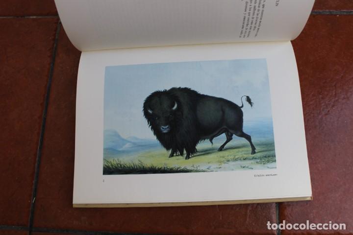 Libros de segunda mano: LOS INDIOS DE NORTEAMERICA GEORGE CATLIN ; LA PIPA SAGRADA - Foto 2