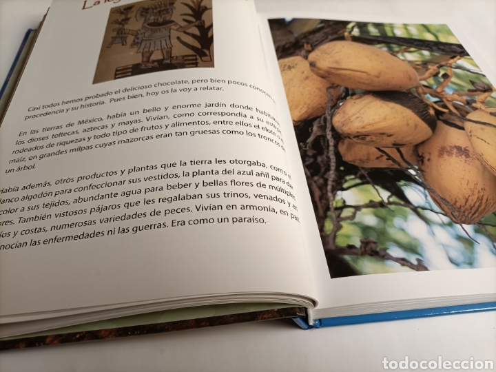 Libros de segunda mano: Leyendas mexicanas . Textos Anselmo Garc&iacute;a - Foto 8