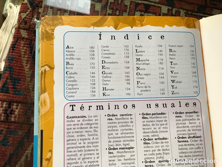 Libros de segunda mano: El gran libro de los animales. Salvajes, de granja y bosque. Libsa. Acolchado. Dif&iacute;cil - Foto 4